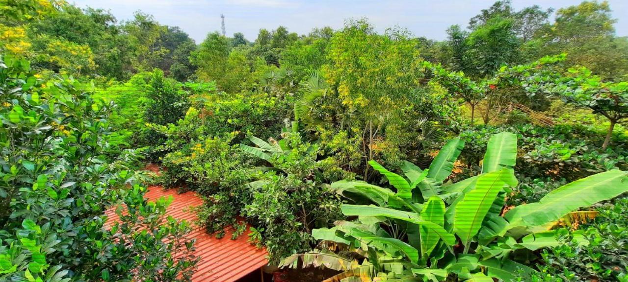 Unearth Hostel Auroville Eksteriør bilde