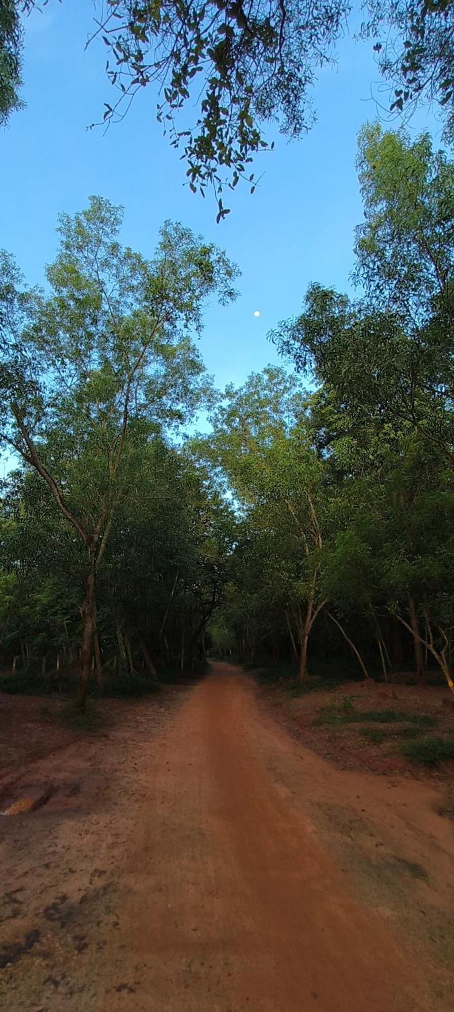 Unearth Hostel Auroville Eksteriør bilde
